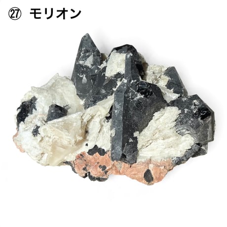 松 88800円 ♢ 東京サロン 【LIVE配信】 特別販売 ♢ 1⃣