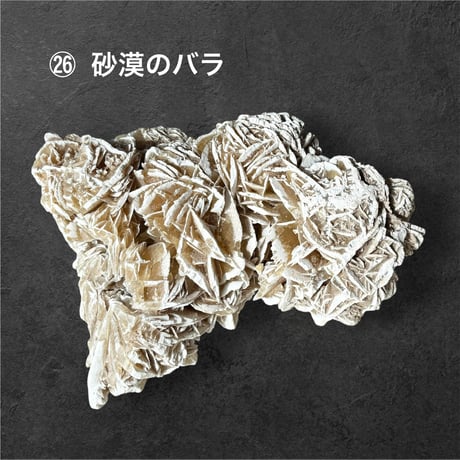 松 88800円 ♢ 東京サロン 【LIVE配信】 特別販売 ♢ 1⃣