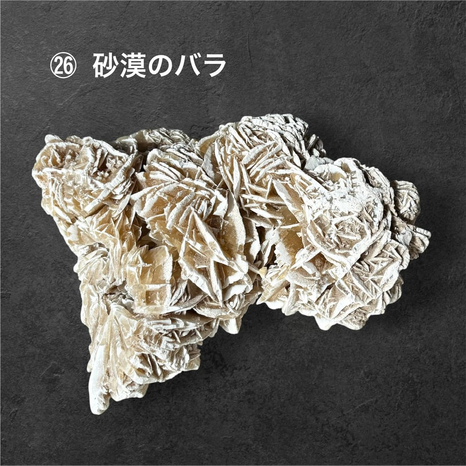 6acb303064adcf6db9c26ca9