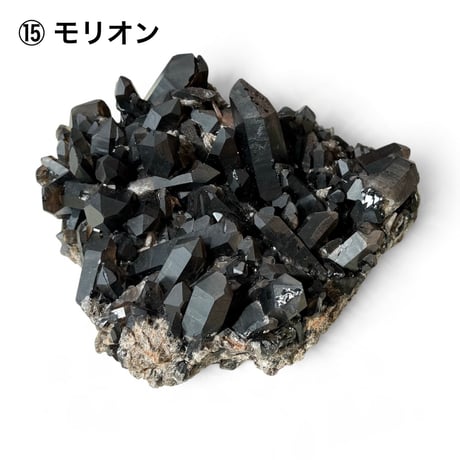 松 88800円 ♢ 東京サロン 【LIVE配信】 特別販売 ♢ 1⃣