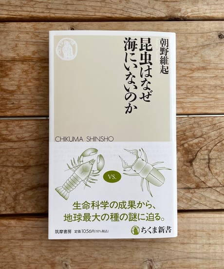 昆虫はなぜ海にいないのか
