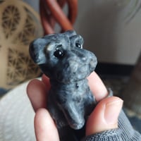 ラルビカイトシュナウザー犬