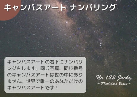 【一点のみ限定生産 No.122 キャンバスアート】最強の天の川！