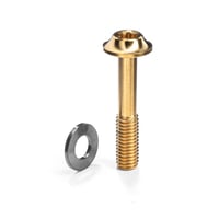Titanium フラットマウント キャリパーボルト（超低摩擦ワッシャー付き）37mm ゴールド