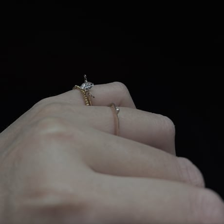 12月予約　- karen silver(gold) × K18YG ring  no.2