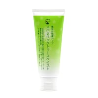 スパジリックトゥースペイスト