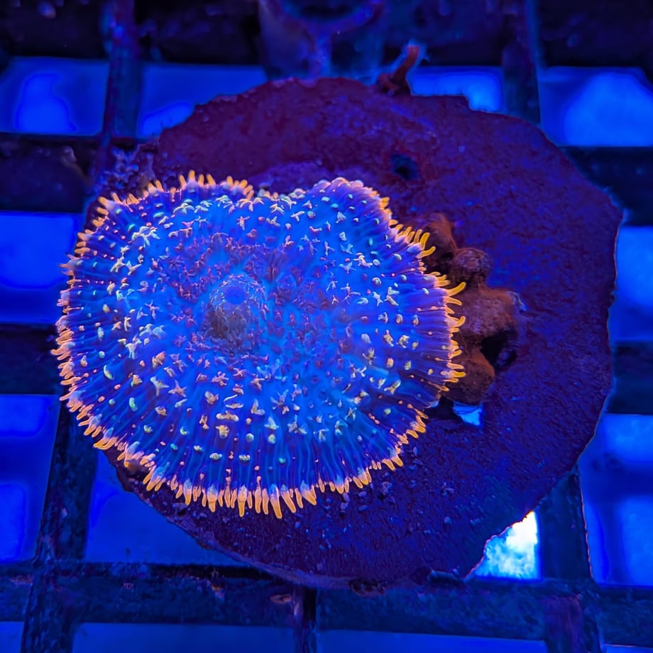 6a6c2e0a7cf6bd23f184a1ec