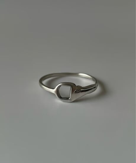 Asymmetric Hollow Ring