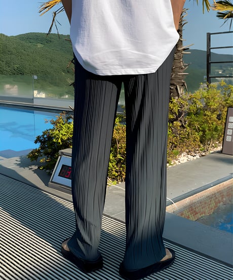 Relaxed-Fit Pleated Pants  / 2color