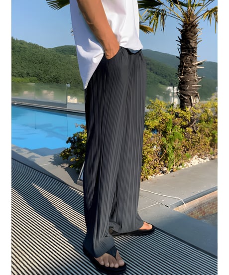 Relaxed-Fit Pleated Pants  / 2color