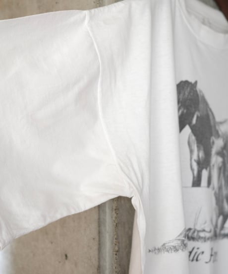 used Icelandic Horse design t-shirt
