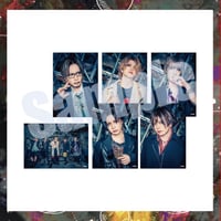【Periodical Cicada】Artist Photo Set [B.N.S.]