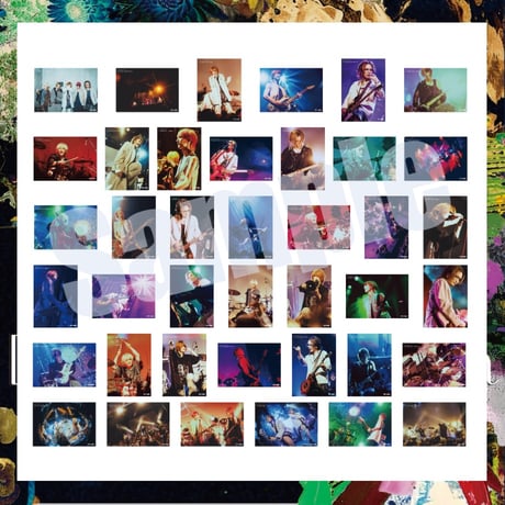 vistlip official store