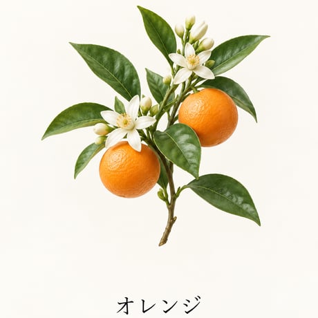 まいにちおんせん エッセンスシャンプー