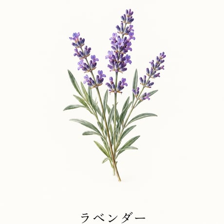 まいにちおんせん エッセンストリートメント
