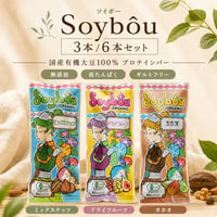 【有機JAS認証】国産有機大豆100％ Soybôu（ソイボー）プロテインバー 3種セット（3本／6本）｜ミックスナッツ・ドライフルーツ・カカオ｜無添加｜Bihadaiz