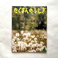 風はどこからくるのだろう / たくさんのふしぎ61