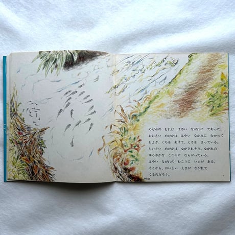 めだか / かがくのとも109  / 吉崎正巳、太田一男