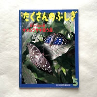 昆虫少年の夢 オオムラサキ舞う森 / たくさんのふしぎ302