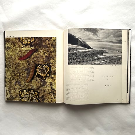 尾根路 / 田淵行男