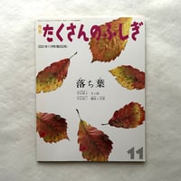 落ち葉 / たくさんのふしぎ　200号