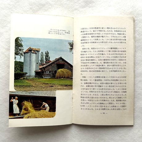 嗜好410  小岩井 / 明治屋