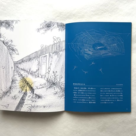 クモと糸 / たくさんのふしぎ302