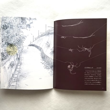 クモと糸 / たくさんのふしぎ302