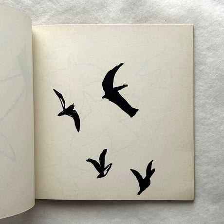 Drawings Birds Shells Hands / Phillip Sutton