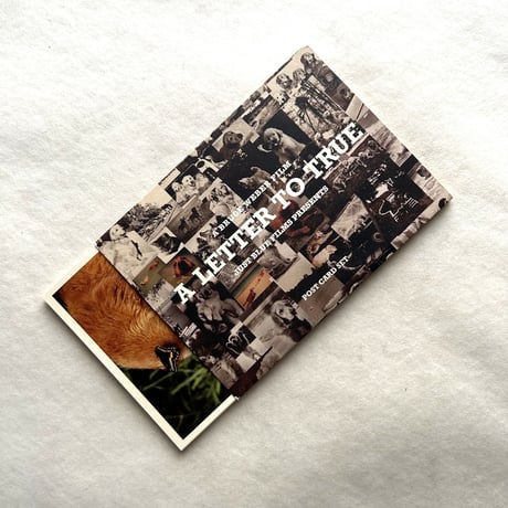 postcard | STORES