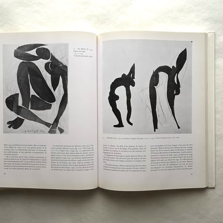 Matisse / John Jacobus
