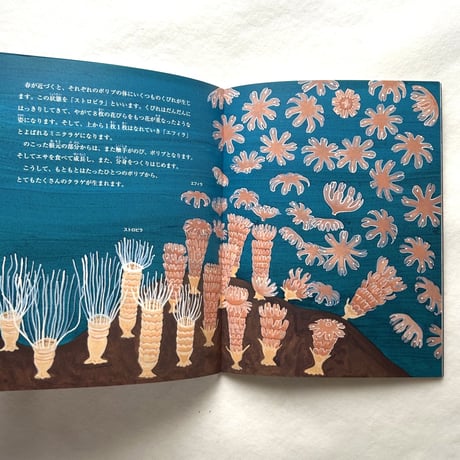 クラゲは花 / たくさんのふしぎ319