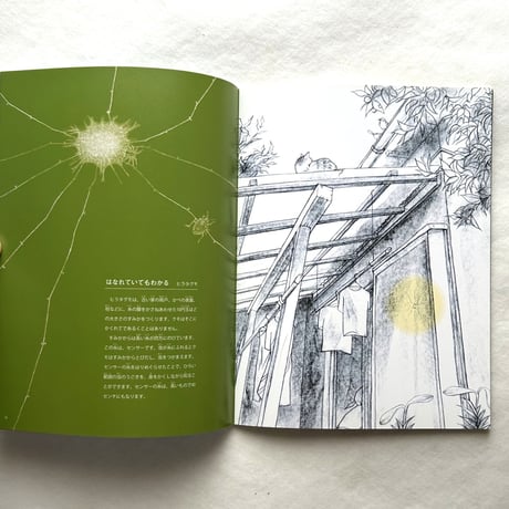 クモと糸 / たくさんのふしぎ302