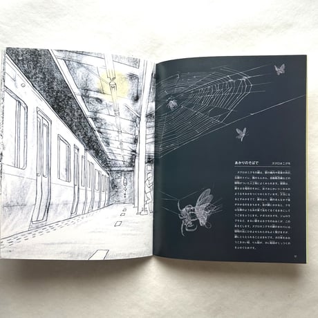 クモと糸 / たくさんのふしぎ302