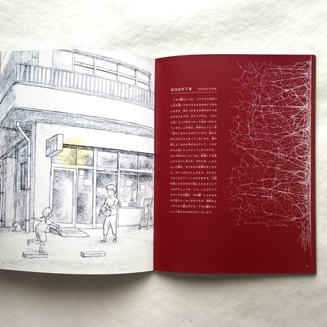 クモと糸 / たくさんのふしぎ302