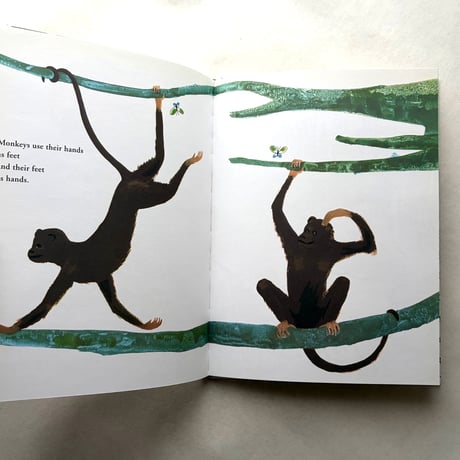 Bruno Munari's Zoo / Bruno Munari