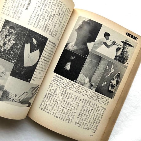 現代写真の事典 日本カメラ増刊 181号 / 日本カメラ社