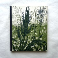 ドイツの森、草原、そして庭園から。植物界を捉えた写真集 / マックス・メツガー