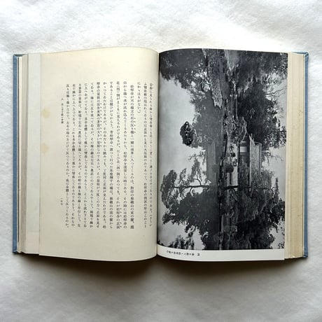 桂離宮　制作過程の考察 / 和辻哲郎