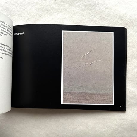 Il mondo di Walter Lazzaro / Galleria Arte Moderna Il Castello