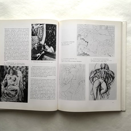 Matisse / John Jacobus