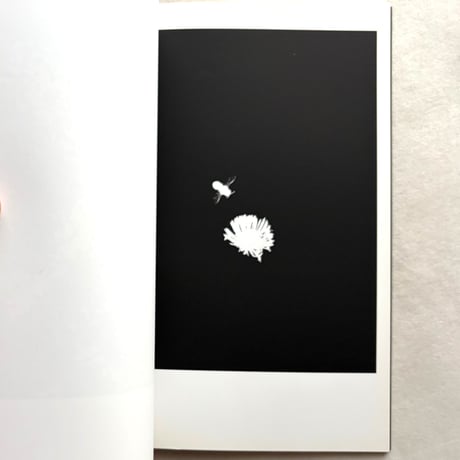 White Light / ヨヘン・レンペルト