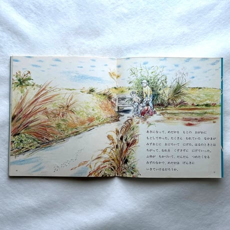 めだか / かがくのとも109  / 吉崎正巳、太田一男
