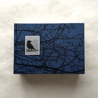 1平方センチメートルあたりの鳥たち / ピーター・ミュラー