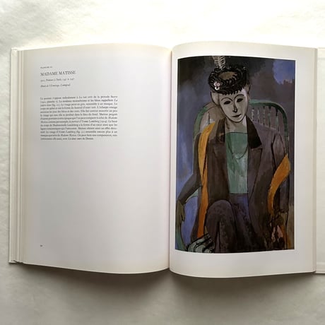 Matisse / John Jacobus