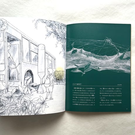 クモと糸 / たくさんのふしぎ302