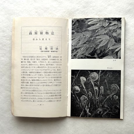嗜好412  高原植物誌  / 明治屋