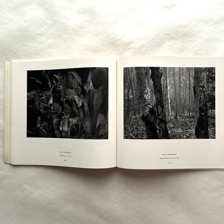 American Landscapes / John Szarkowski