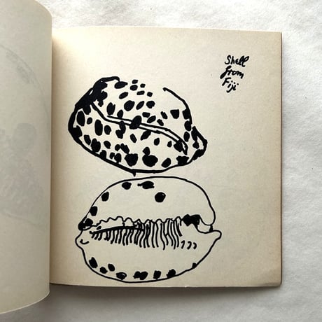 Drawings Birds Shells Hands / Phillip Sutton