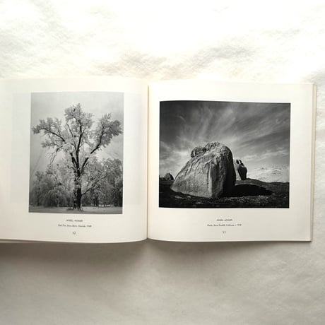 American Landscapes / John Szarkowski